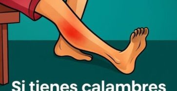 4ab58c92 0f73 4222 ab79 6432d61aa6c8 736x1024