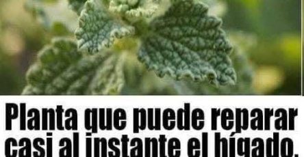 550518091 122150497256809999 2239564028136481193 n