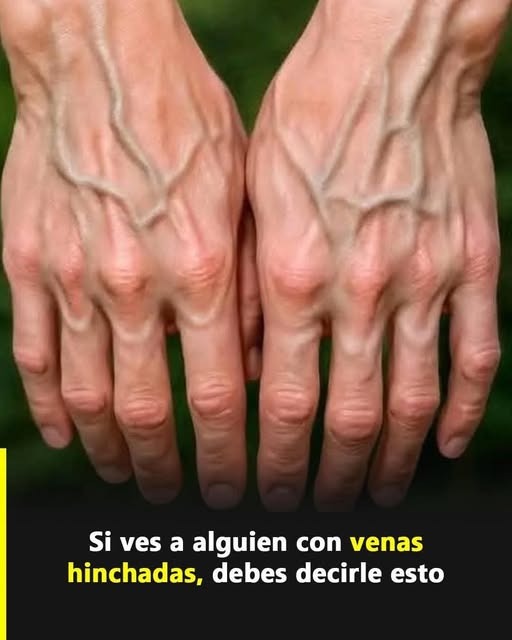 558603096 122222635454111867 694907545324079714 n