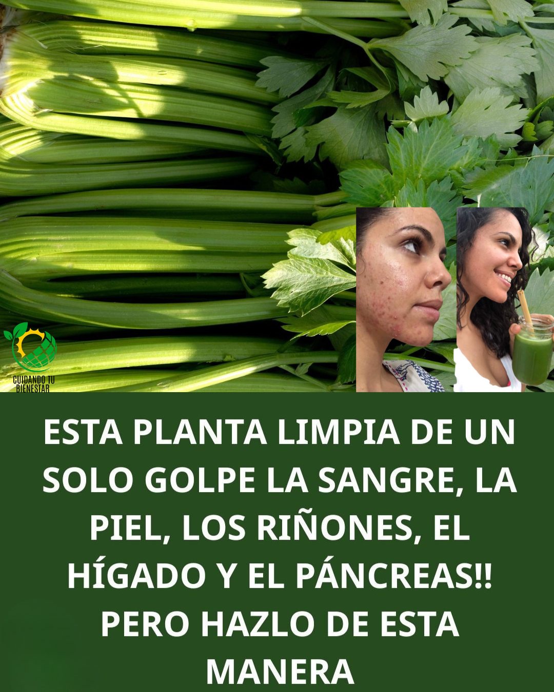 578956545 122178155684492222 7225160881029092032 n (1)