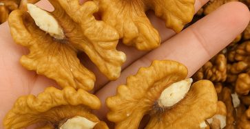 583944235 819145154235483 5690034659483000888 n