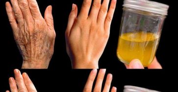 587113086 1873047696581334 5933186950480552017 n