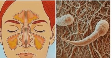 597383194 2360104977743087 8903102084284292454 n