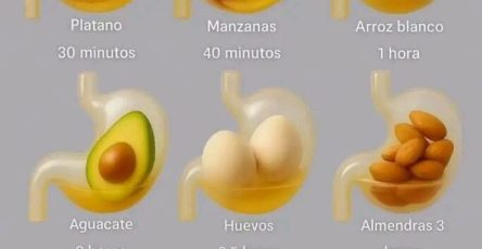 597827775 122124359558992455 8736463550879620719 n 683x1024