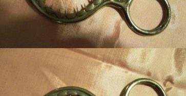 598140122 1419422173079628 1586588425148170155 n