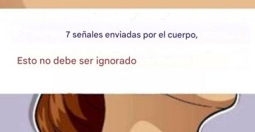 600293260 886638584044738 3250107380665684232 n