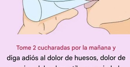 603858030 1275595457936996 6551505443946619985 n