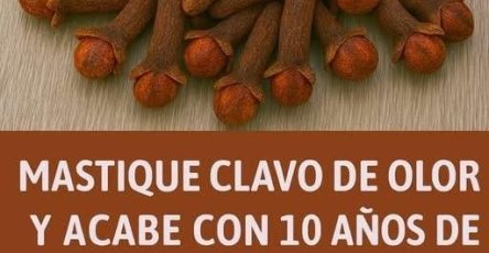 607644411 826685443676136 1420415632300906219 n