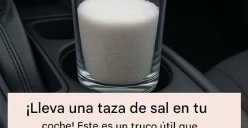 624578283 122103447405237668 3966435255570156386 n