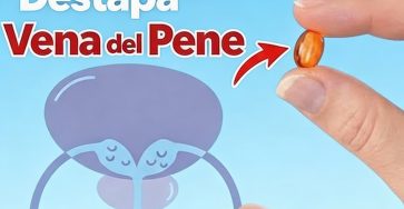 625317458 890925313903668 3077103055479570861 n