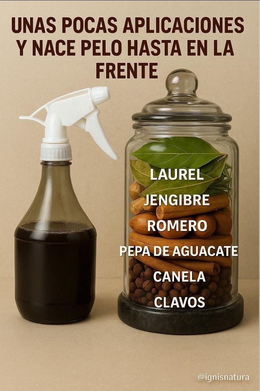 629336249 122231213996110163 7526081333723718234 n