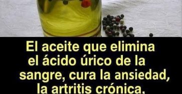 630425042 1429638145449602 9185505670917213642 n