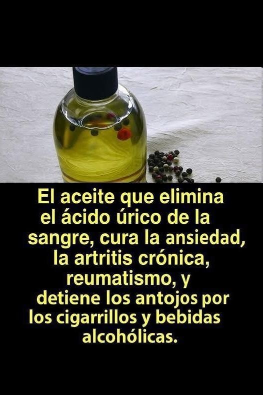 630425042 1429638145449602 9185505670917213642 n