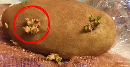 633786711 1345483557622915 6794586204585940191 n