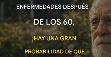 633892731 1277900320913524 7160458340249840655 n