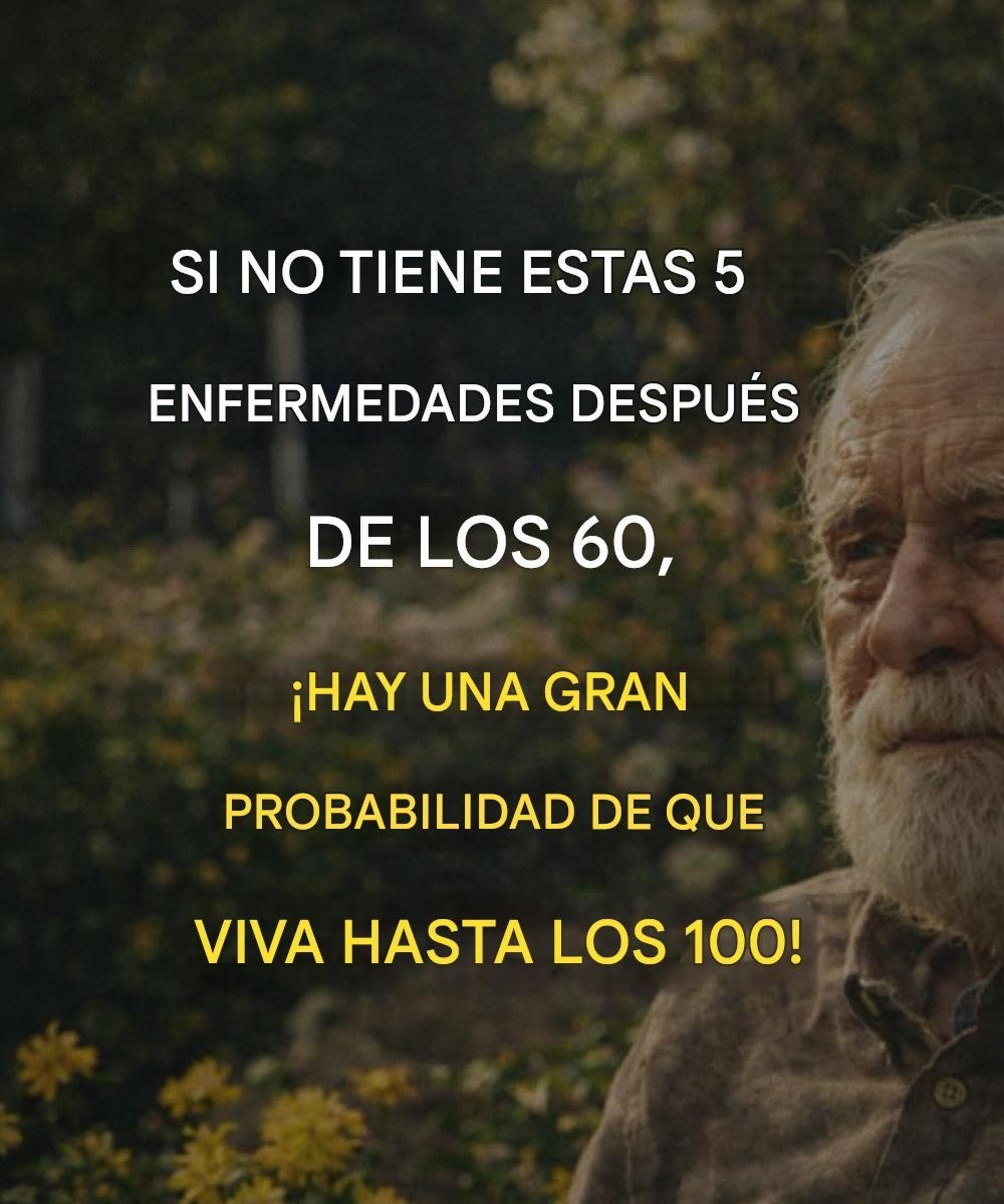 633892731 1277900320913524 7160458340249840655 n