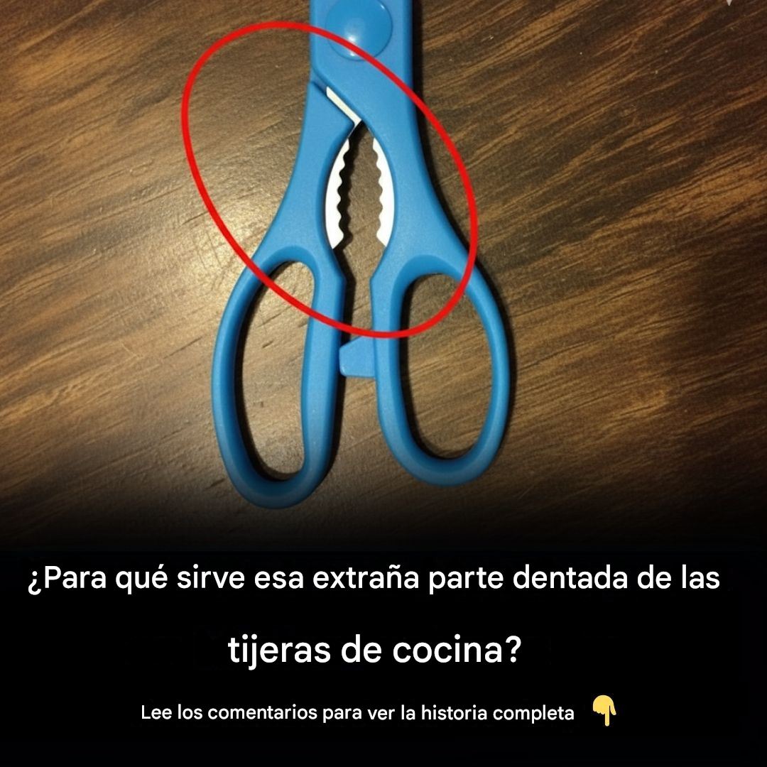 634667420 1981247882816136 2839580066002758056 n