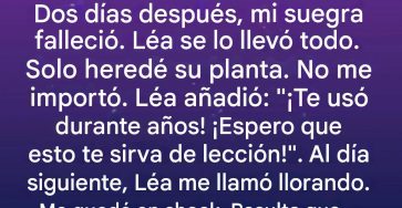 636788867 122100845979263812 791951348699651082 n