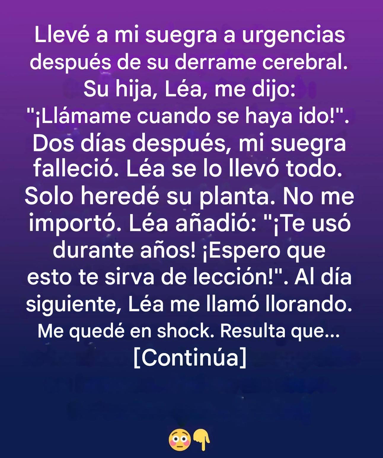 636788867 122100845979263812 791951348699651082 n