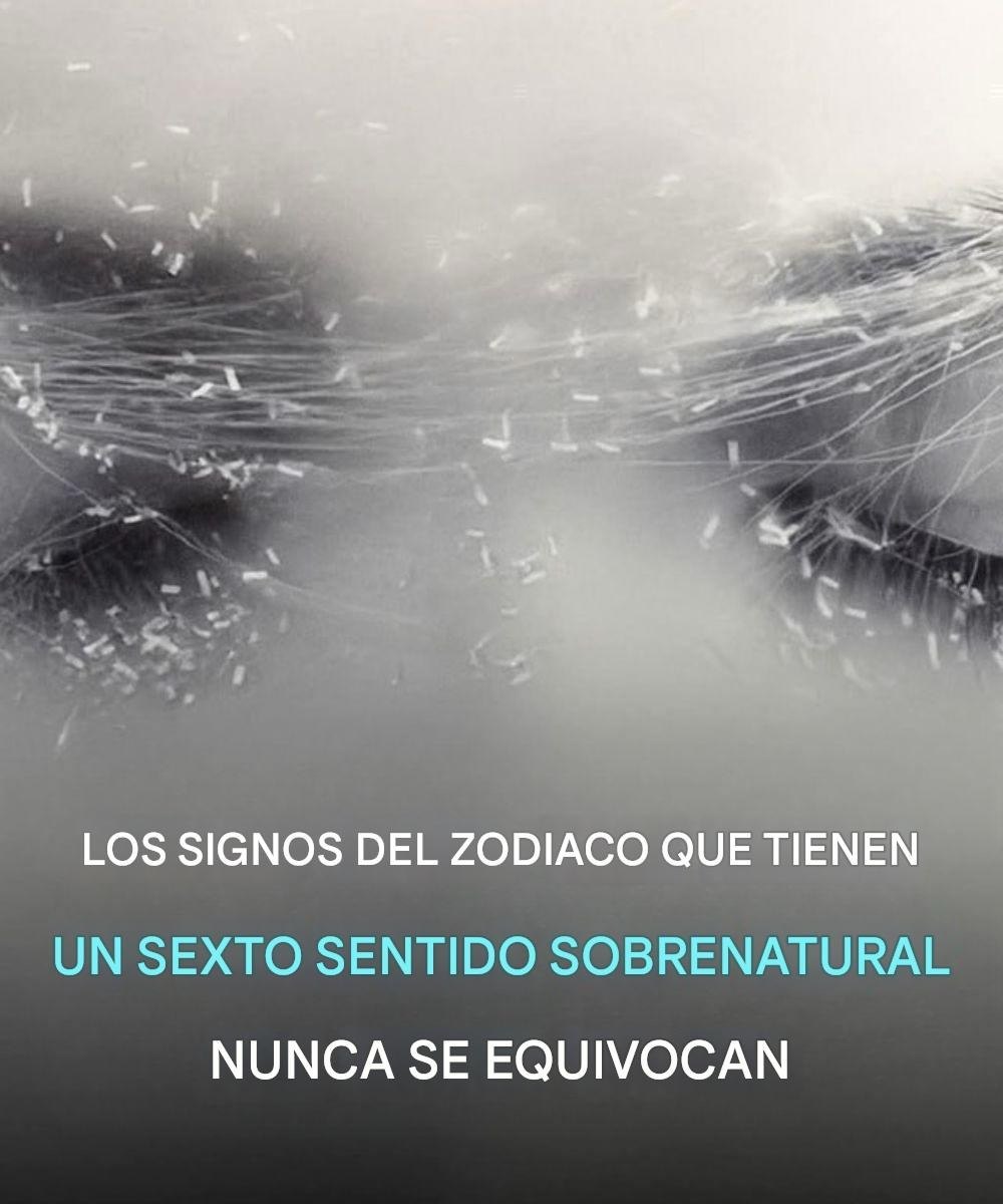 638224041 122287880618028646 5546976794104387988 n