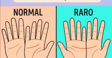 640962447 1239283758331477 3621545705814917139 n