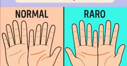 640962447 1239283758331477 3621545705814917139 n