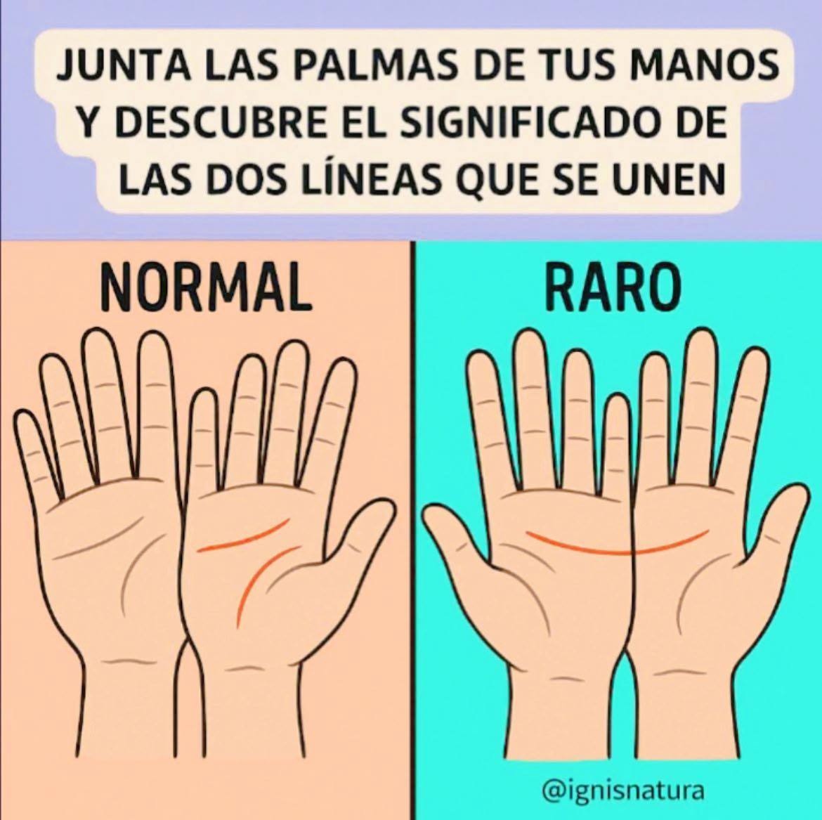 640962447 1239283758331477 3621545705814917139 n