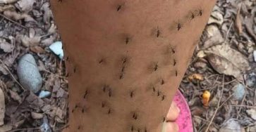 641273685 880194728168829 2259614276101588571 n