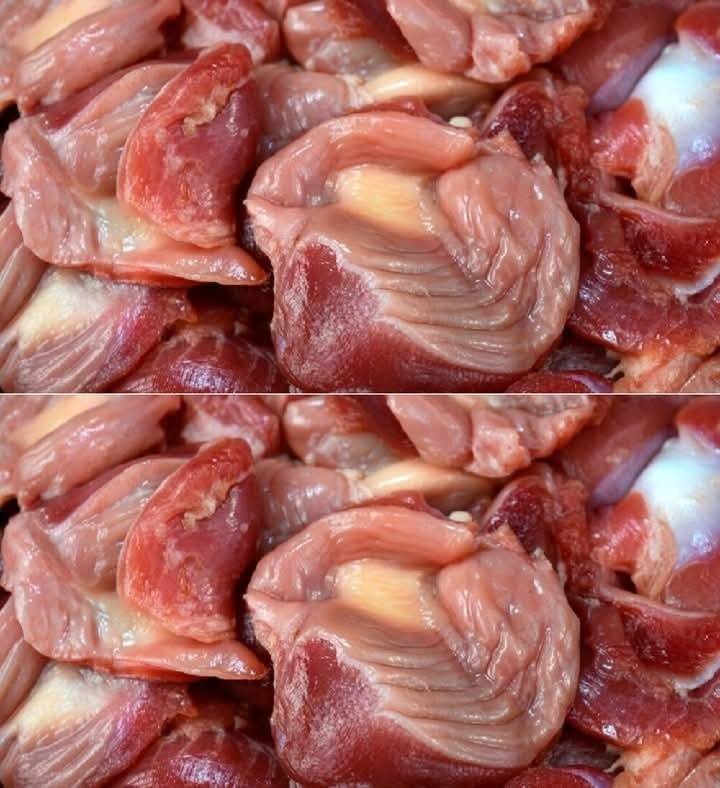 641627366 2187211382024306 5463041940798807546 n