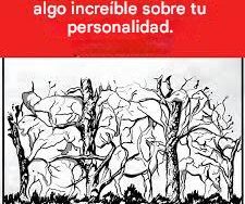 90e141dd e251 4af2 934a 0dc31ad4e6cc