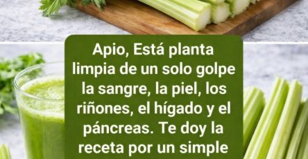 A264b2df c19f 46f0 921a 4c810de7e6c9