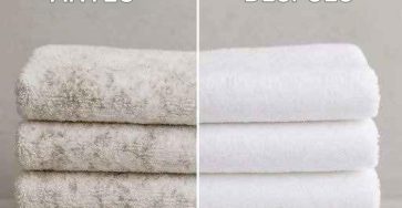 Image 2025 11 06T221804.682