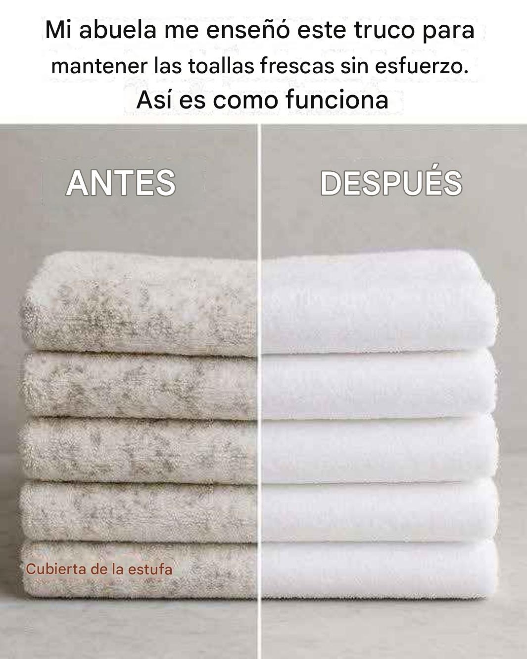 Image 2025 11 06T221804.682