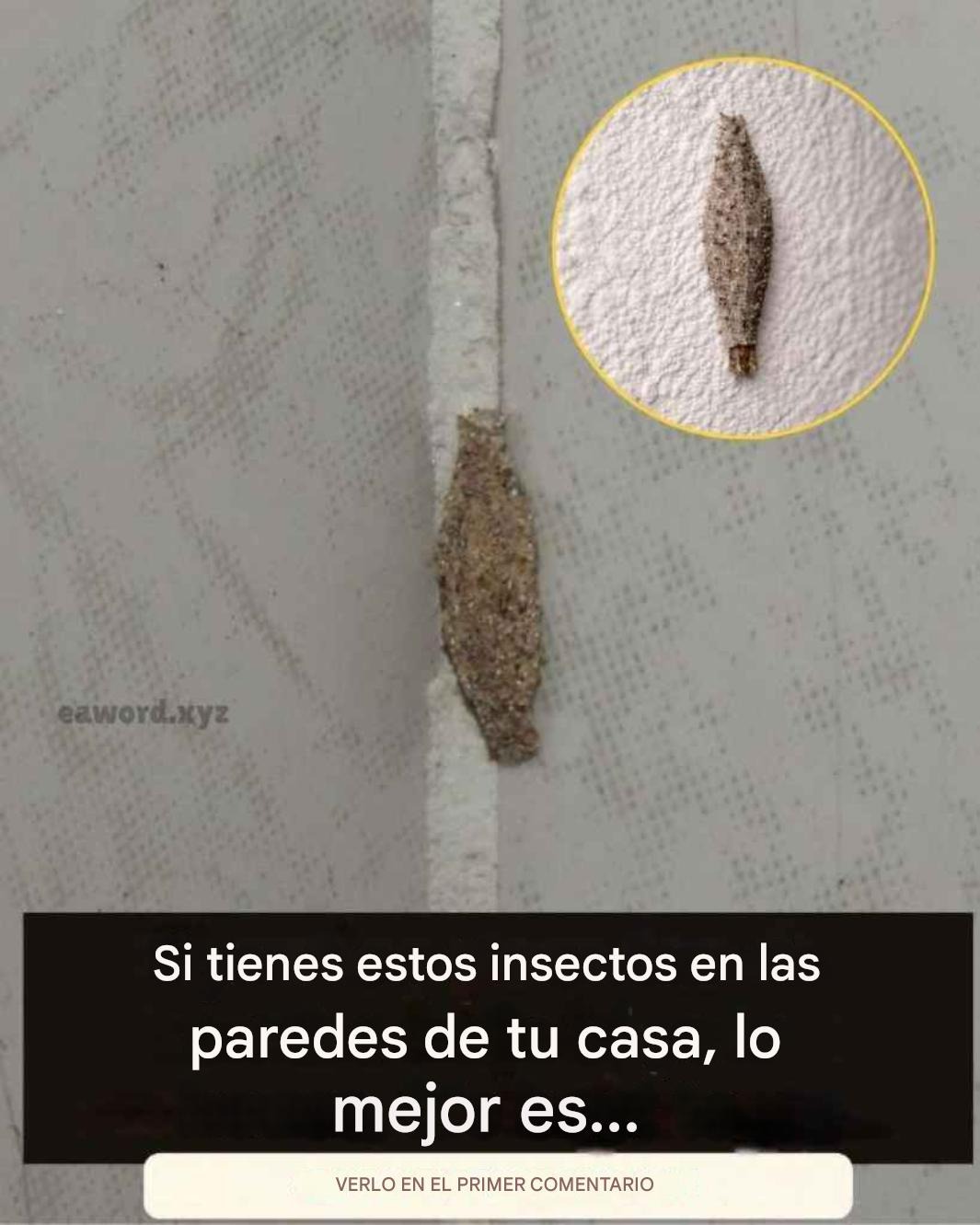 Image 2026 01 06T022330.008