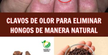 Image 2026 01 18T021700.750