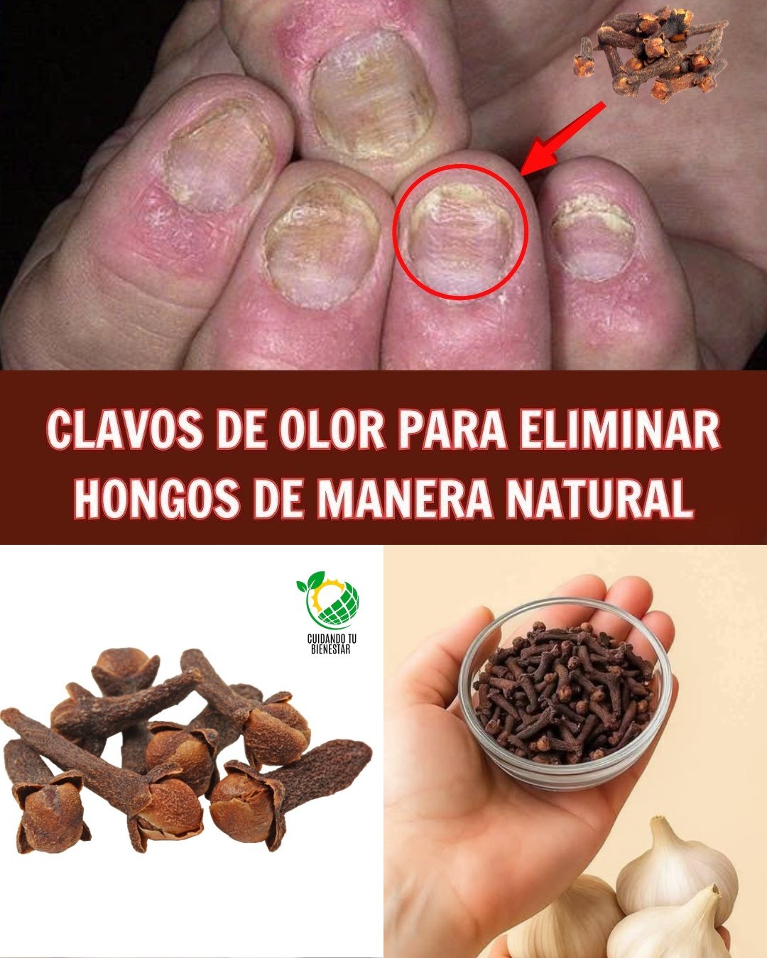 Image 2026 01 18T021700.750