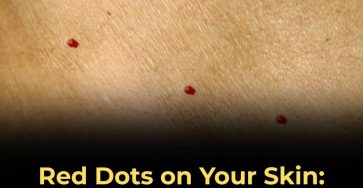 550052128 779325631404870 6169763874590594345 n