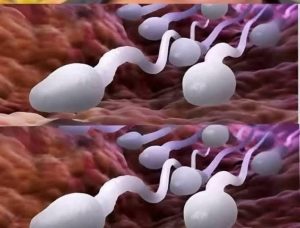 565243431 1877491799866392 7819895572117146394 n