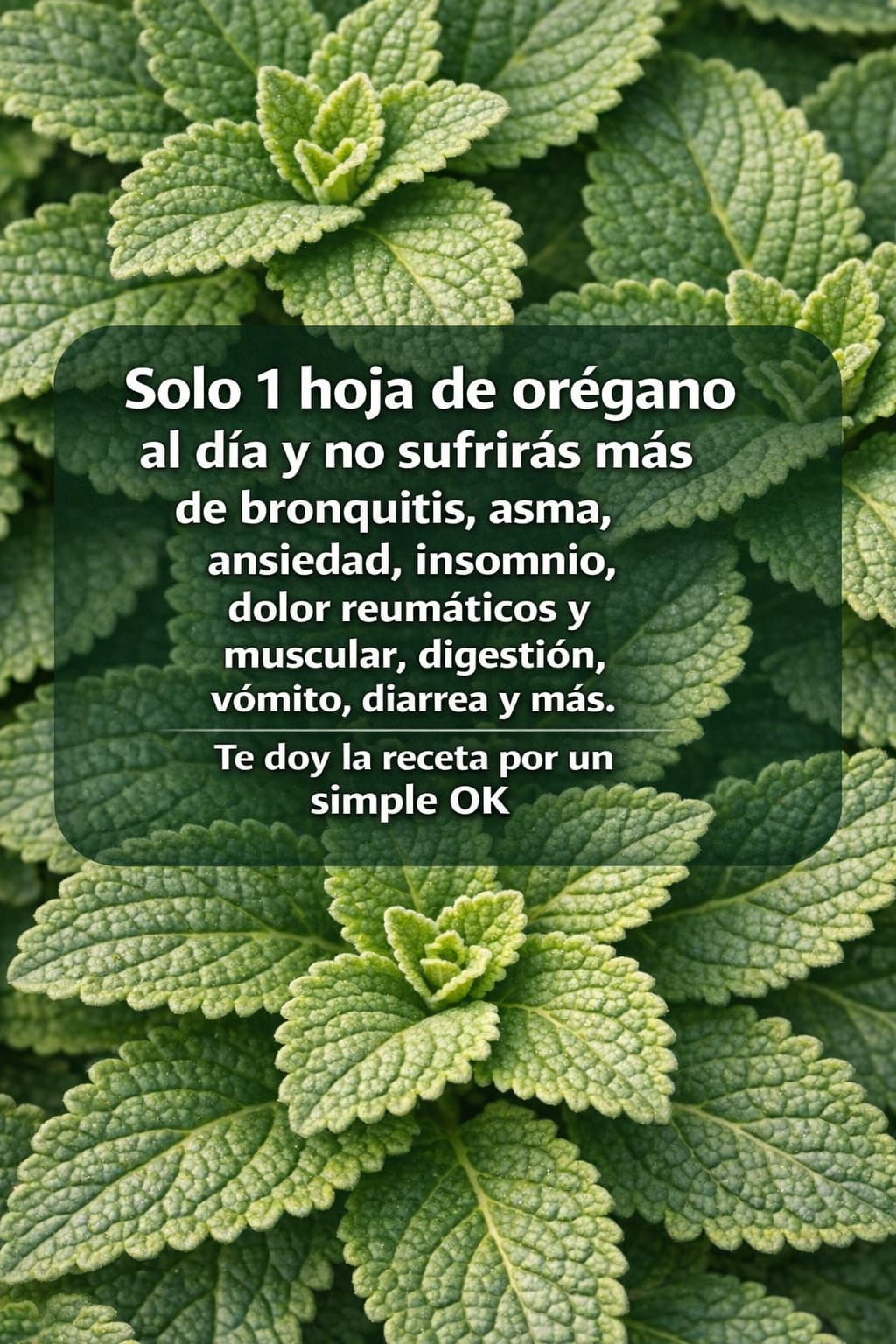 628895149 122100934197273215 8069475651900694228 n