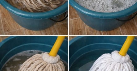 632696972 122208778868567604 1894590819222675565 n