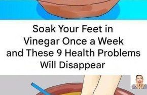 633303963 122208475994567604 4097979680625347776 n