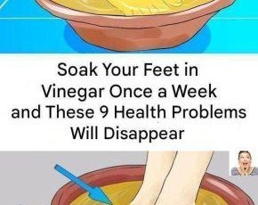 633303963 122208475994567604 4097979680625347776 n