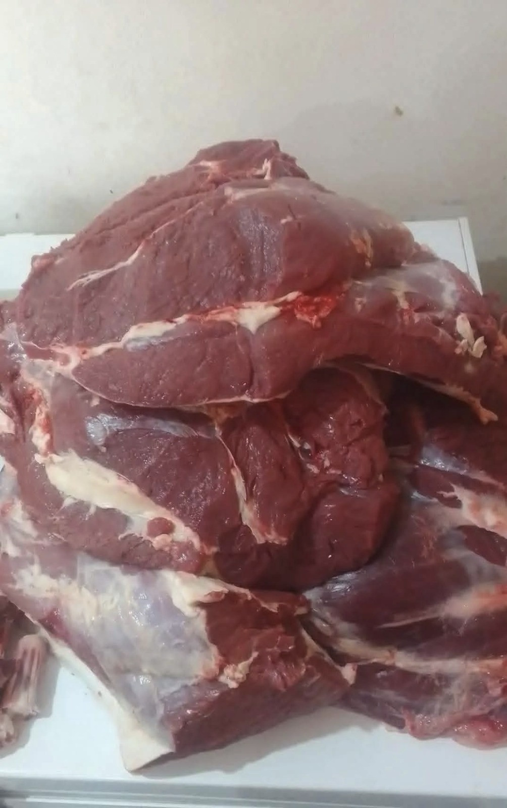 633505541 122208530768567604 7489134838844681858 n