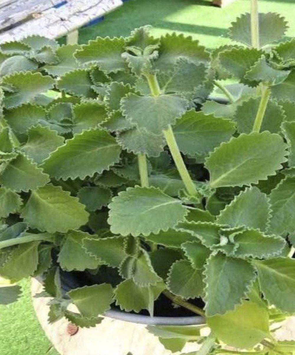 633696289 122208685700567604 3974639388425389398 n