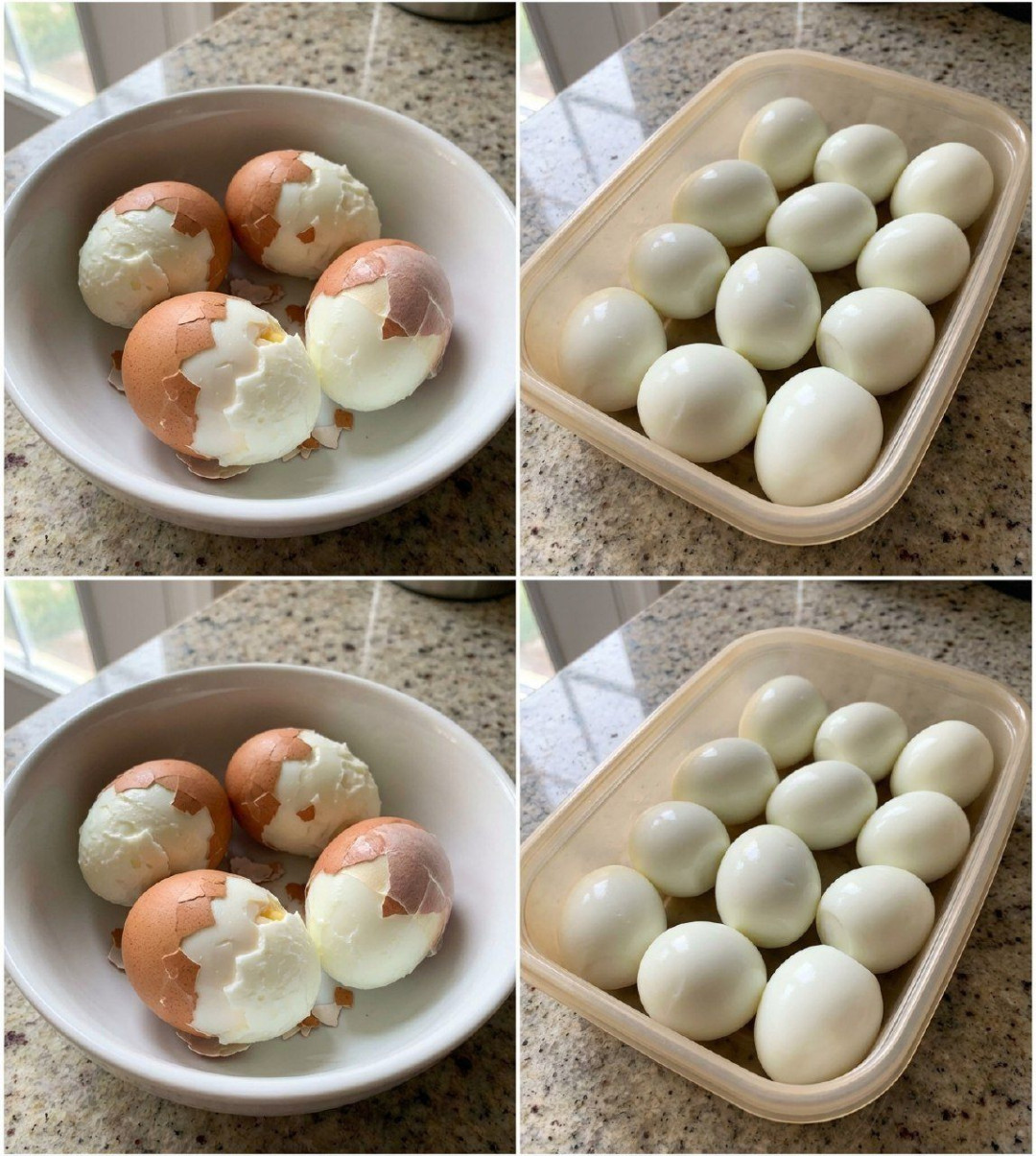 633729947 122208324416567604 230322929869442462 n