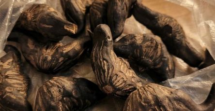 633875739 122208391202567604 6700971464739620796 n