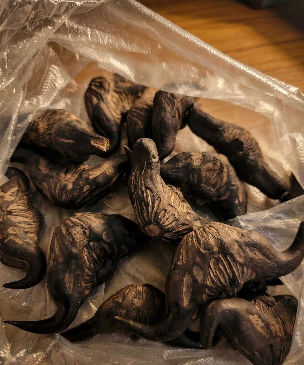 633875739 122208391202567604 6700971464739620796 n