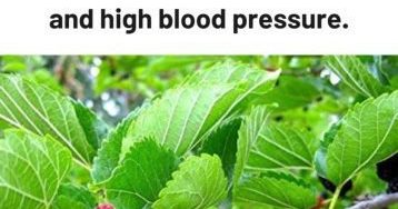 634691284 122208763478567604 3946685807589154401 n