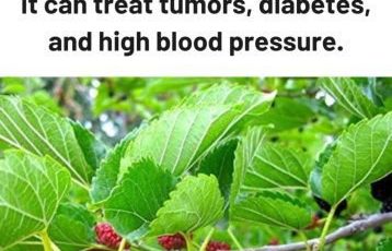 634691284 122208763478567604 3946685807589154401 n