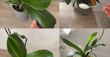 634895829 122208739670567604 2985411320152718490 n